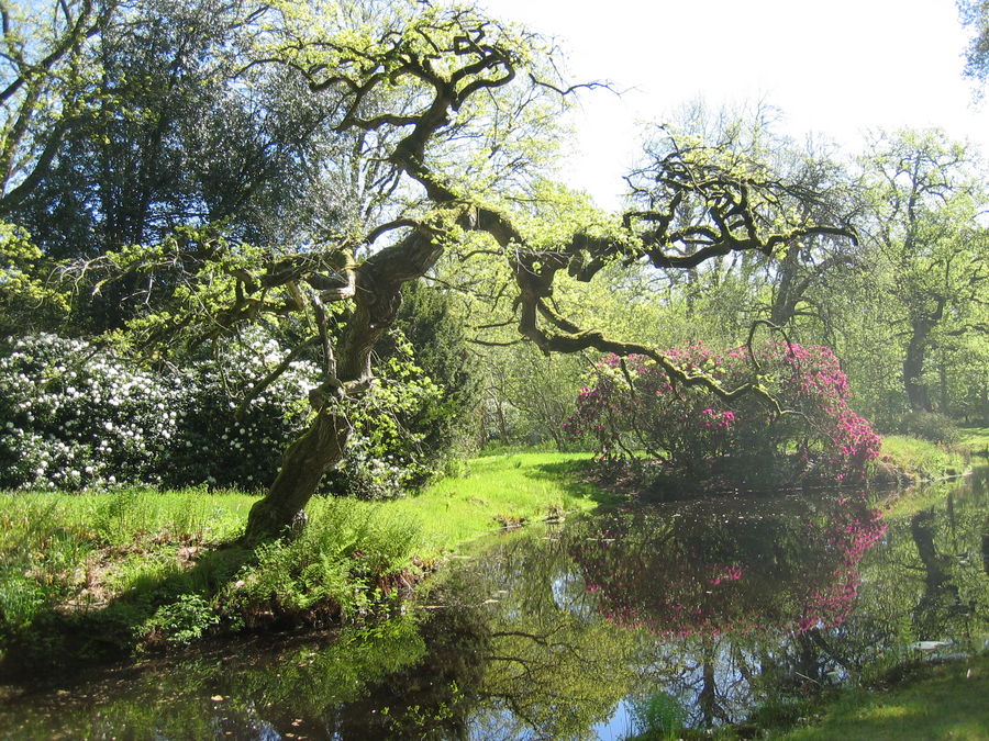 Lütetsburger Schloßpark