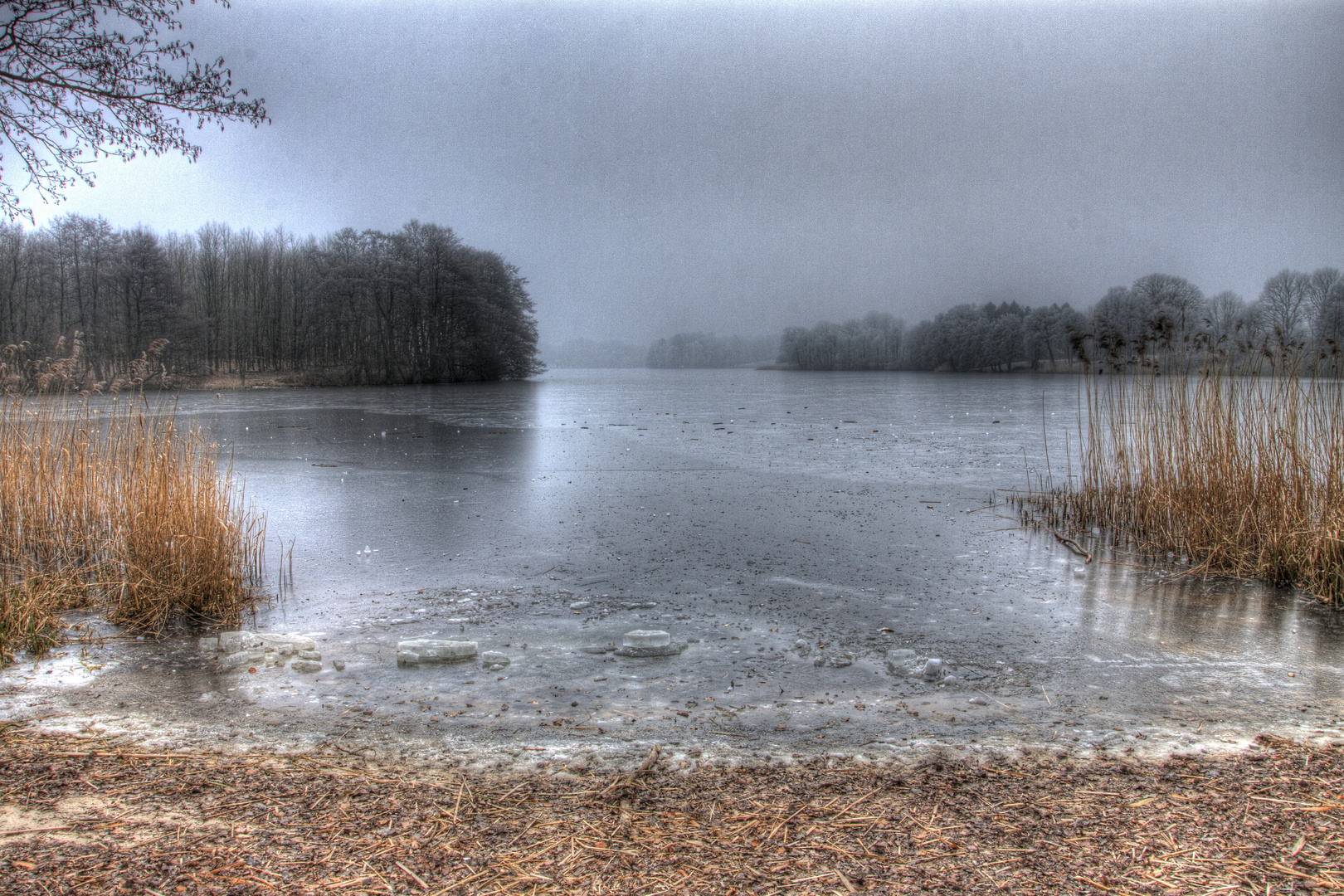 Lütjensee im Winter