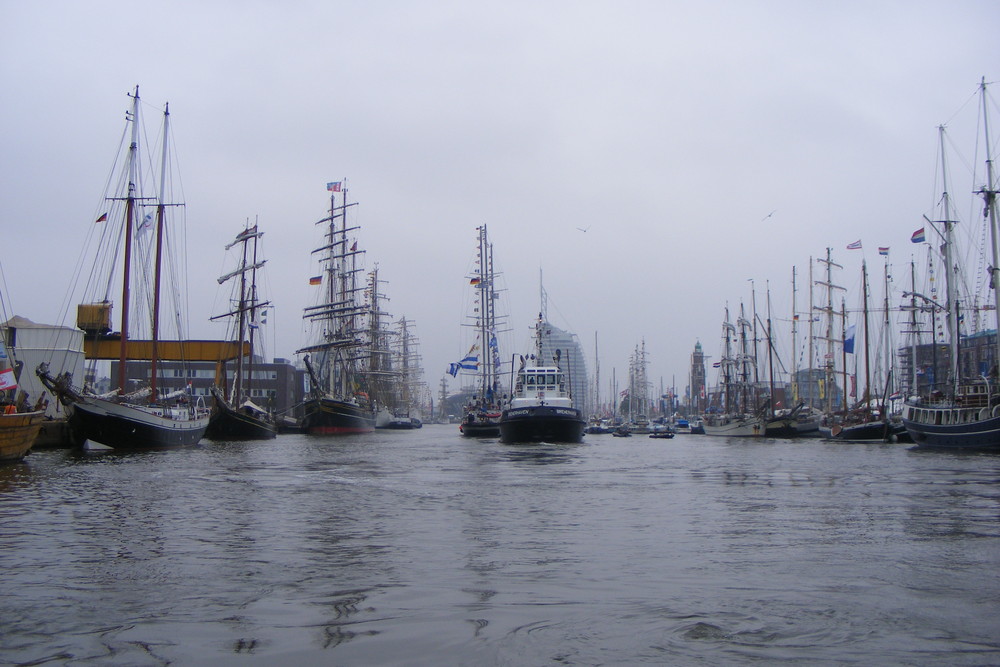 Lütte Sail 2008