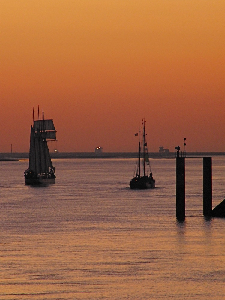 Lütte Sail in Bremerhaven 2