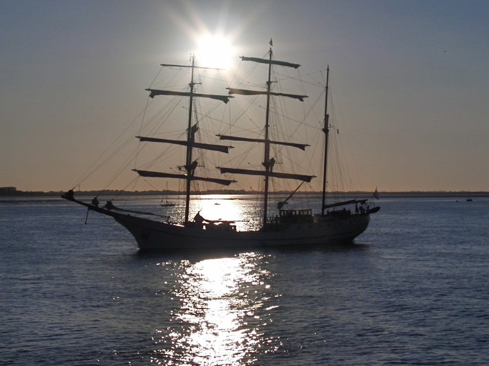 Lütte Sail in Bremerhaven