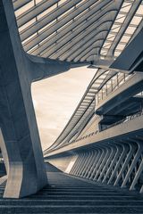 Lüttich Bahnhof, Liège-Guillemins