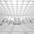 Luettich-Guillemins-4096