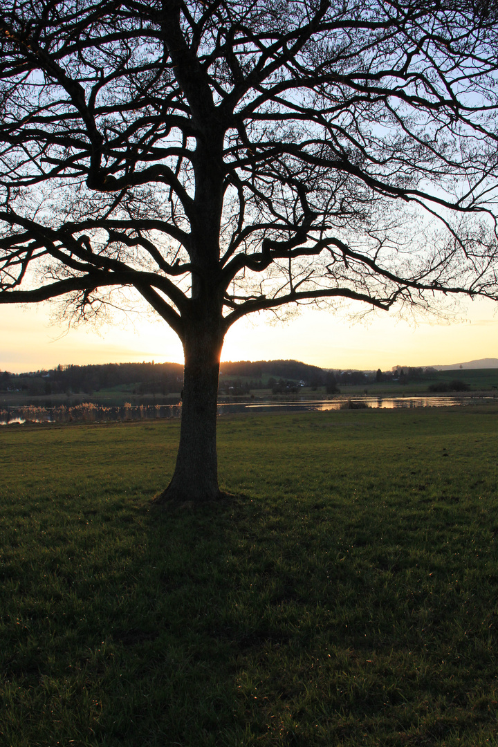 Lützelsee am Abend