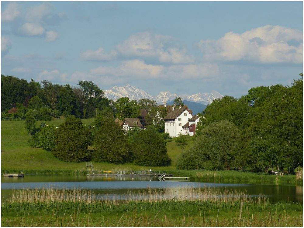 Lützelsee im Sommer