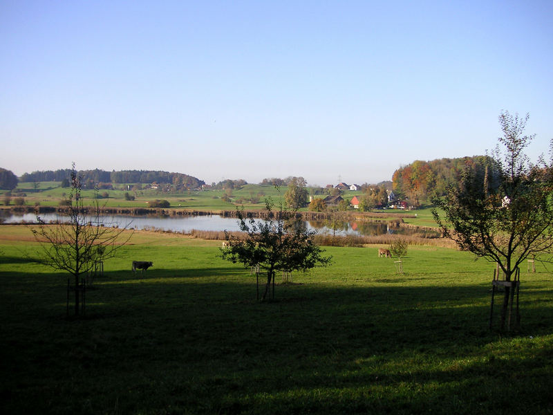 Lützelsee von anderer Seite