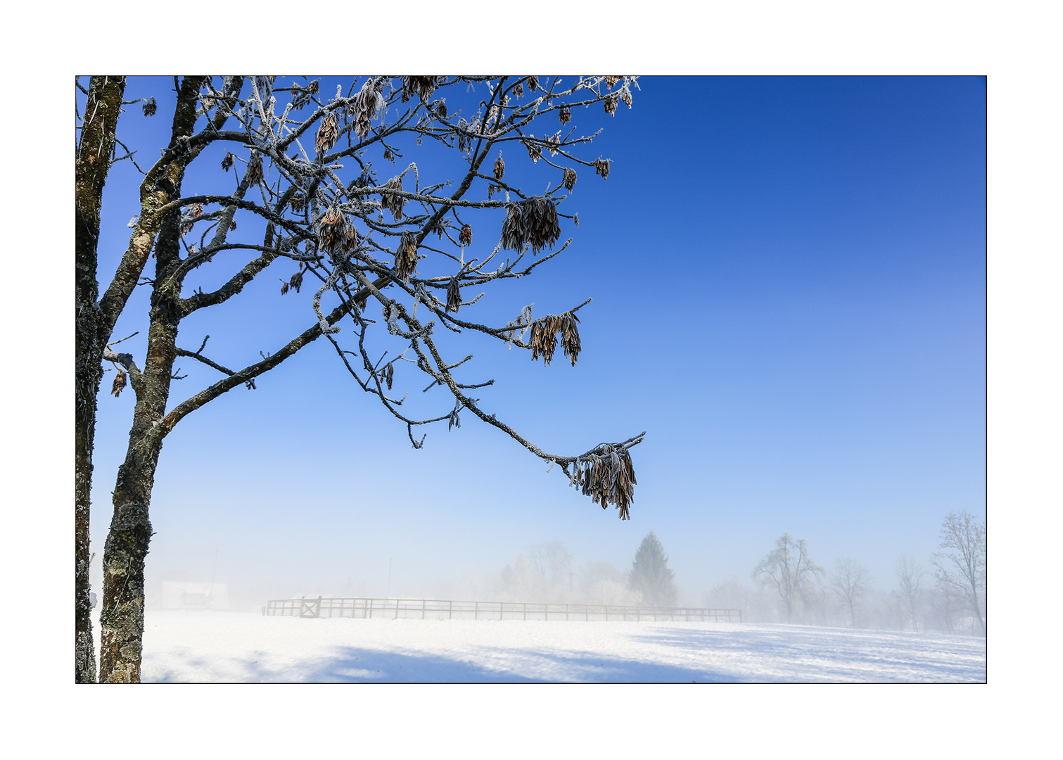 Lützelseeschnee1