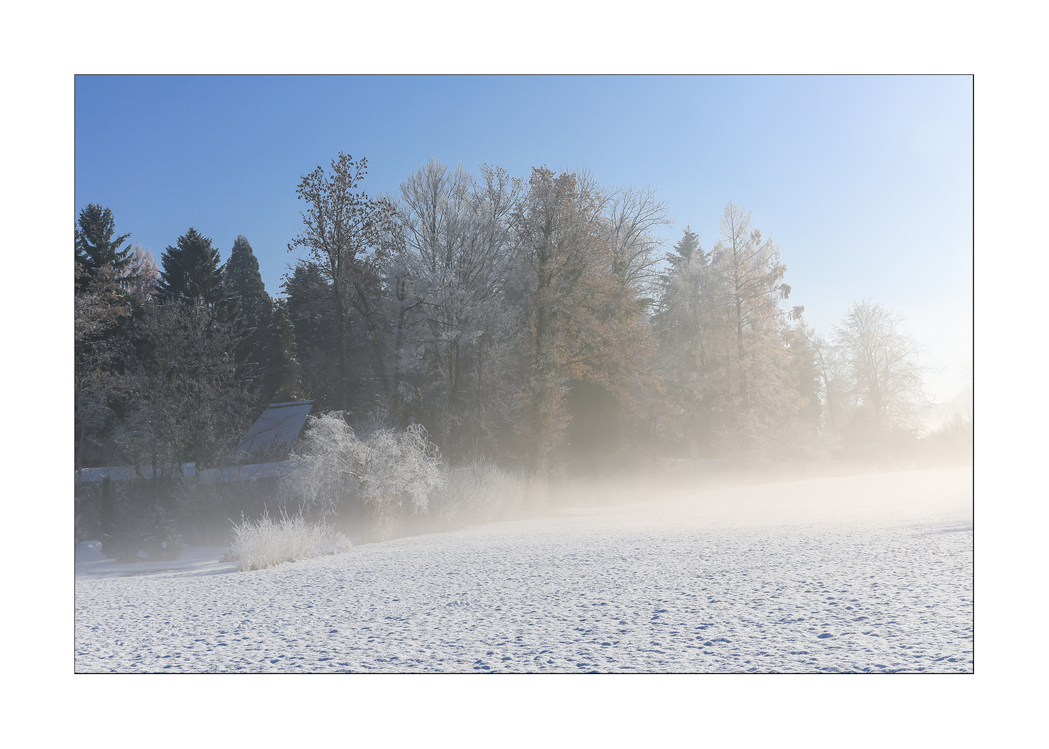 Lützelseeschnee2