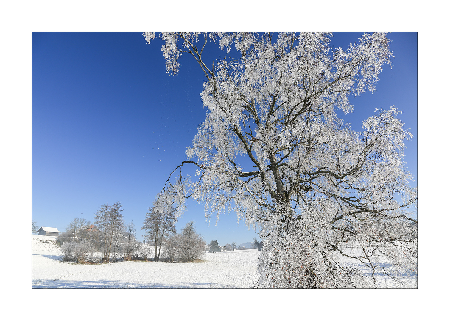 Lützelseeschnee6