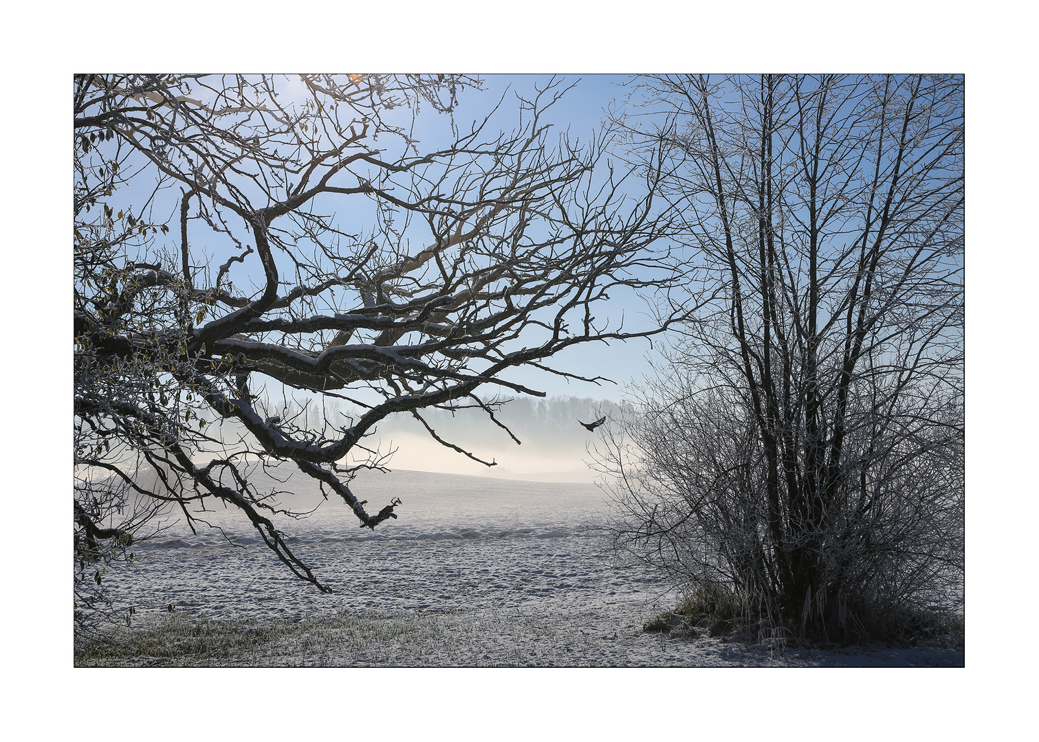 Lützelseeschnee7