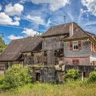 Lützenhardter Mühle am 20.06.2016