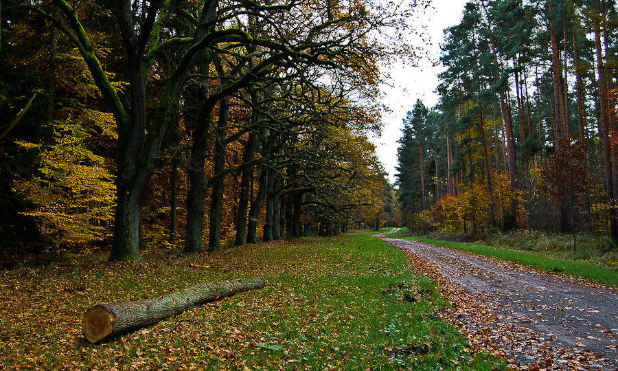 Lützoweichen