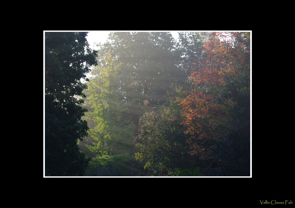 Lueur d'automne (2)