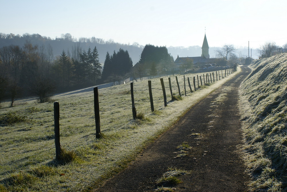 Lueur matinale