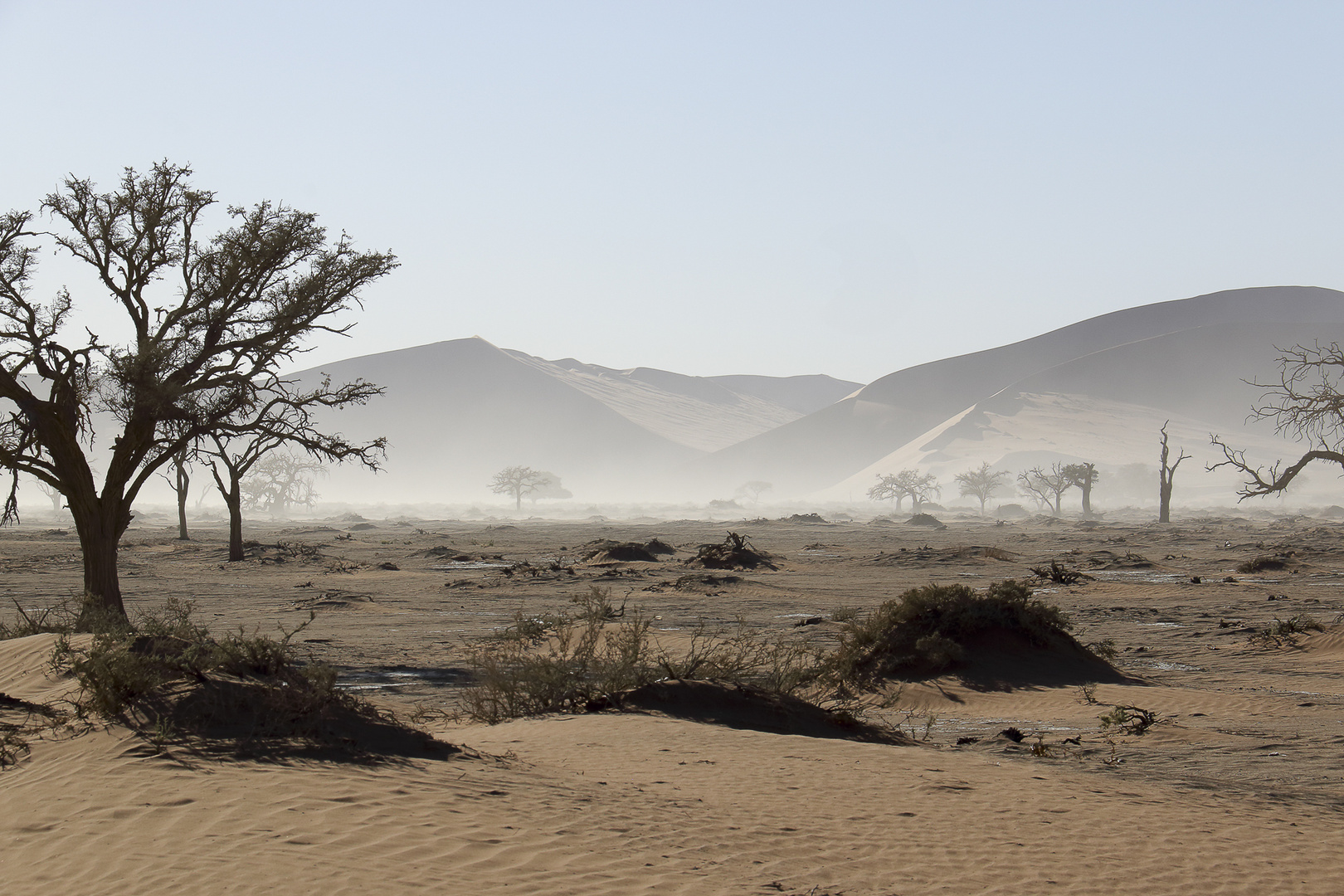 lueur matinale sur les dunes