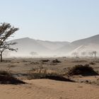 lueur matinale sur les dunes