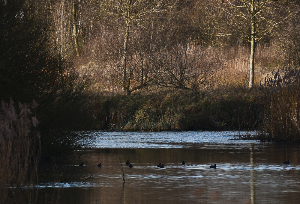 Lueur sur la lagune