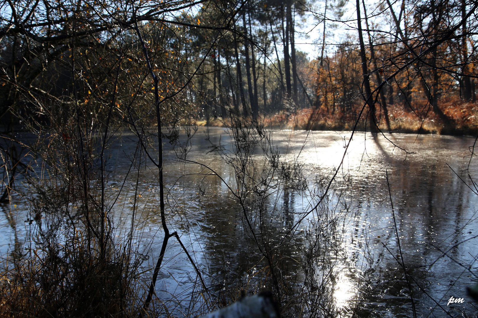 lueur sur un lac gelé