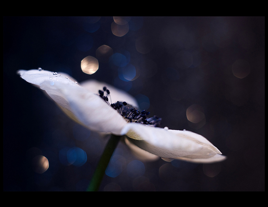 lueurs de la nuit