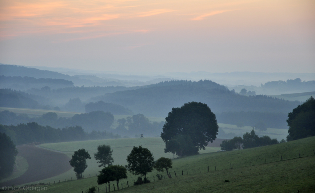 Lueurs du matin