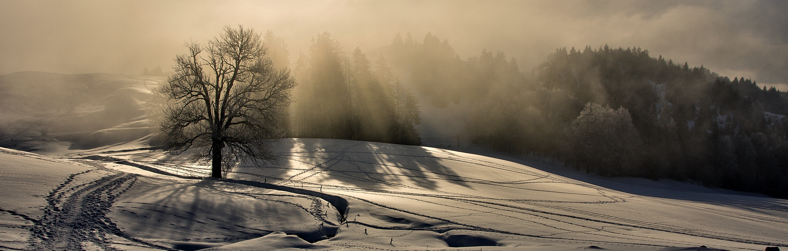 Lueurs matinale