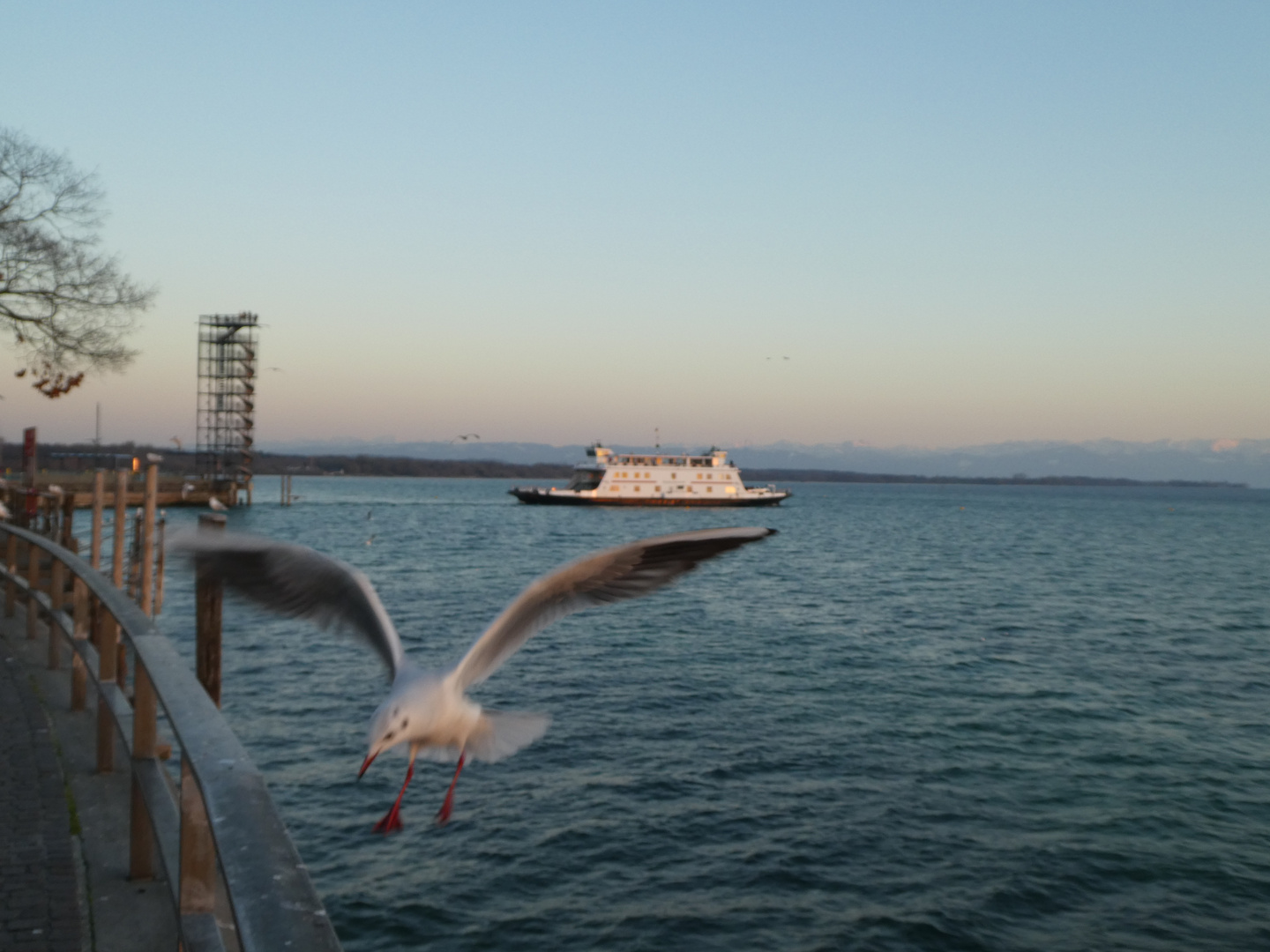 Luft- Wasserfahrt vom Bodensee