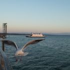 Luft- Wasserfahrt vom Bodensee