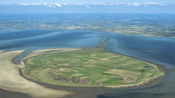 Luftaufnahme der Gezeiten-Insel Mandø/DK von Wikipedia.de