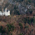 Luftaufnahme: Neuschwanstein im Herbst