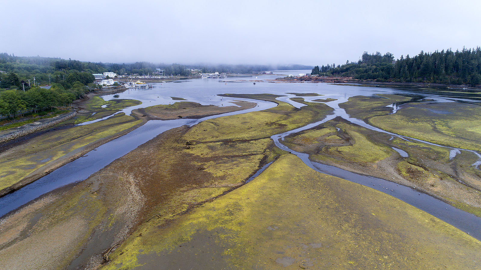 Luftaufnahme Port Hardy bei Ebbe