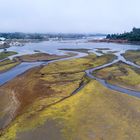 Luftaufnahme Port Hardy bei Ebbe