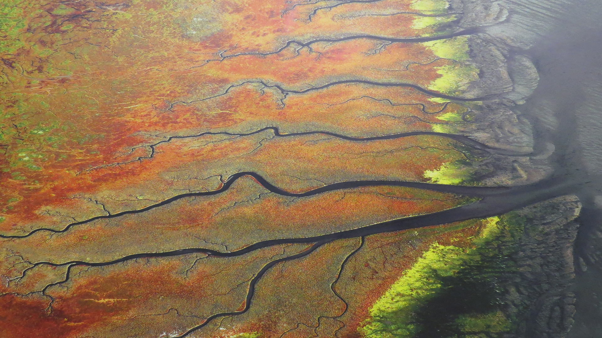 Luftaufnahme Wattenmeer