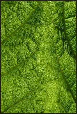 Luftaufnahmen für Einsteiger