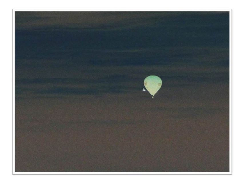 "Luftballon"