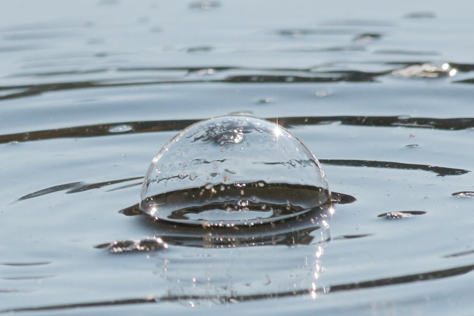 Luftblase auf dem Wasser