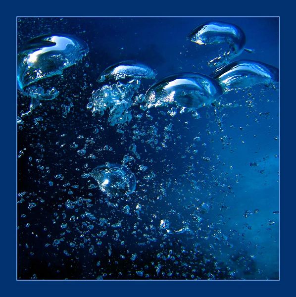 Luftblasen Foto Bild Unterwasser Natur Kreativ Aufnahmetechniken Bilder Auf Fotocommunity