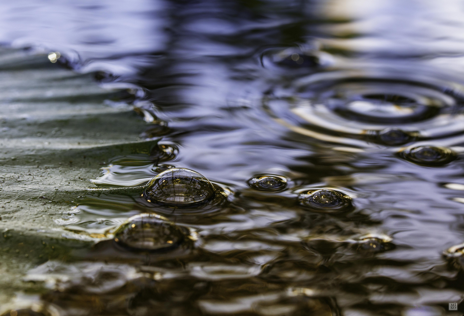 Luftblasen auf dem Wasser