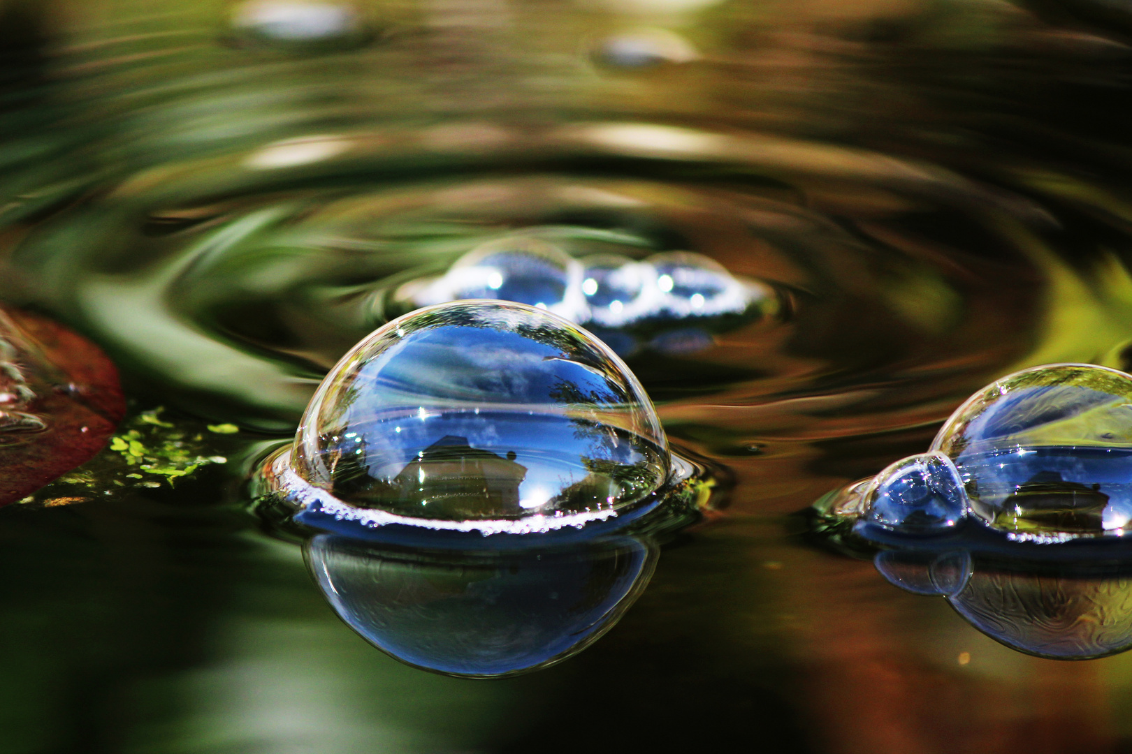 Luftblasen im Gartenteich Foto & Bild natur, spiegelung, luftblase