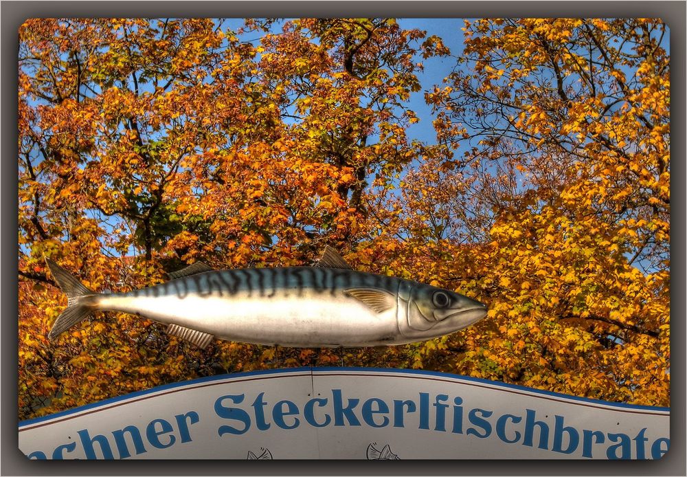 Luftfisch sucht Mitfluggelegenheit