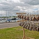 luftgetrocknete Flundern hängen vor den Fischerhütten im Hafen von Hou