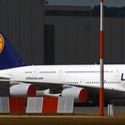 Lufthansa