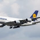 Lufthansa