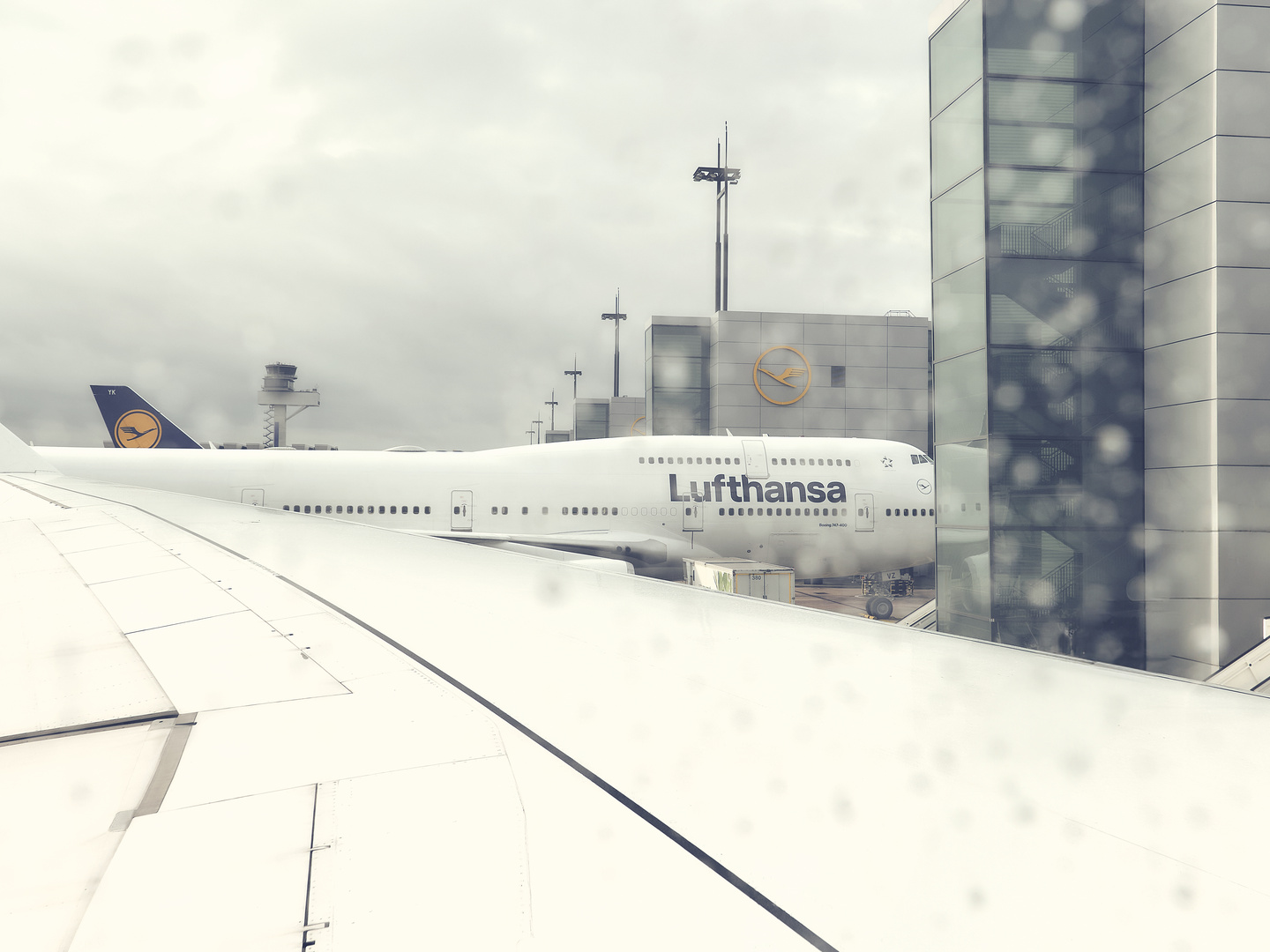 Lufthansa