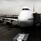 Lufthansa 747-400: Narita - Frankfurt