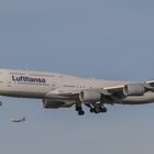 Lufthansa