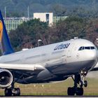 Lufthansa A330 bei der Landung