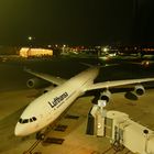 Lufthansa A340-600 in Boston