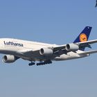 Lufthansa A380-800 