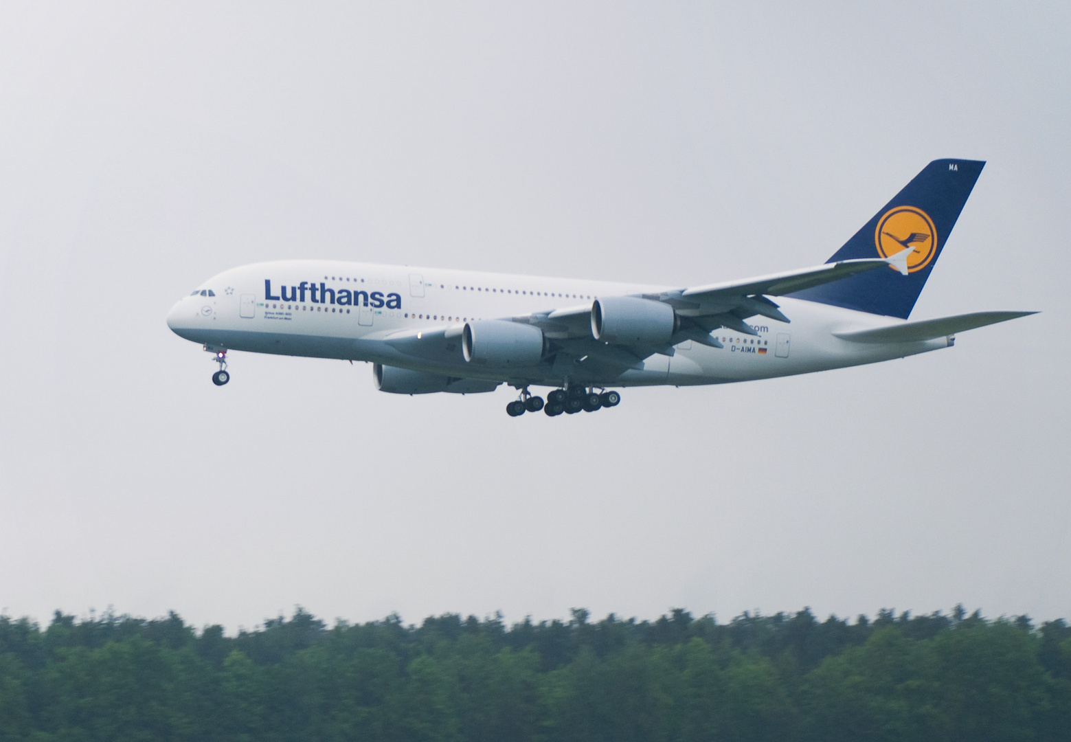 Lufthansa A380 'Frankfurt am Main' / 03.06.2010 Nürnberg