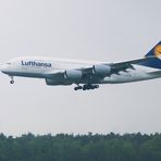 Lufthansa A380 'Frankfurt am Main' / 03.06.2010 Nürnberg